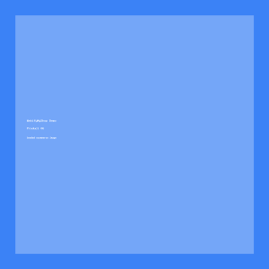 Prism Travel Organizer